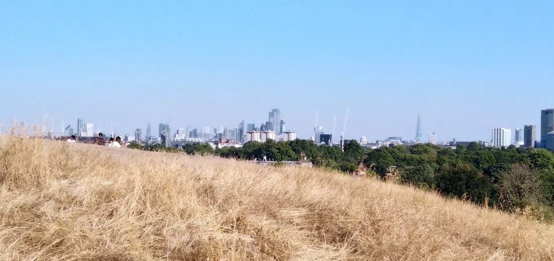 Primrose Hill, London