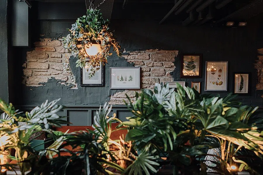 The Botanist York, York