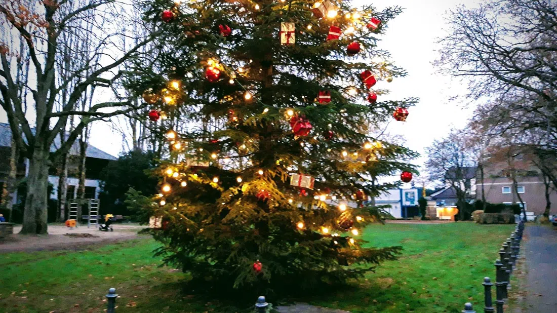 Plittersdorfer Winterzauber, Bonn