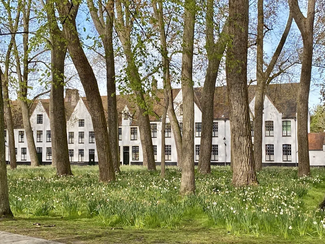 Prinselijk Begijnhof Ten Wijngaarde / Monasterium De Wijngaard, Bruges