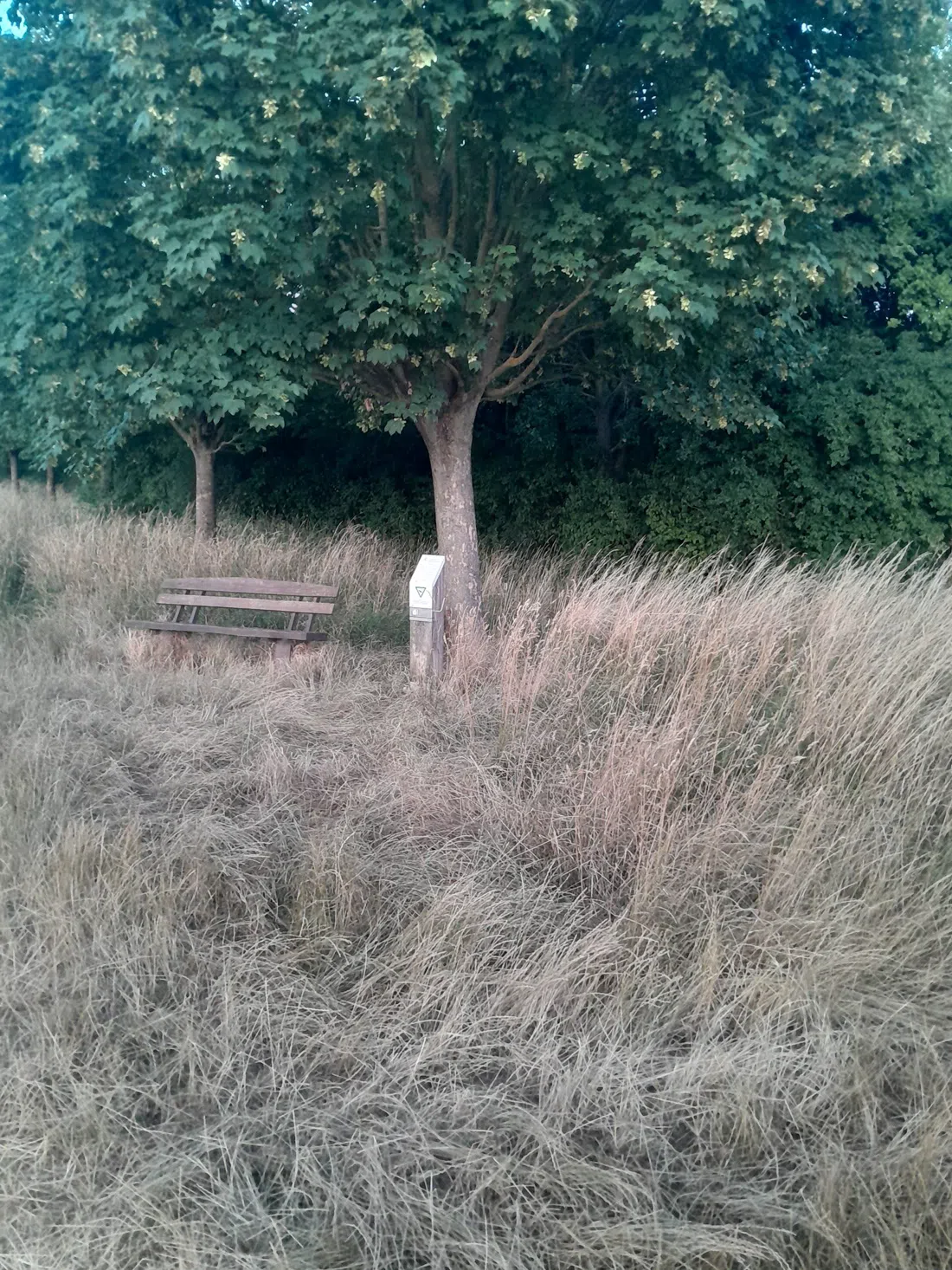 GrünGürtel-Rundwanderweg, Frankfurt