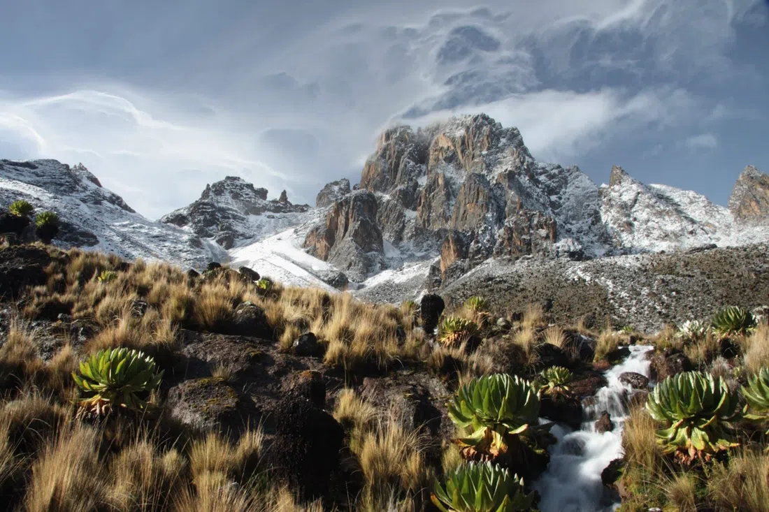 Mount Kenya National Park & Forest Reserve (Kenya Wildlife Service), Nairobi