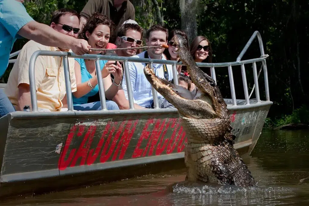 Cajun Encounters Swamp Tour (Honey Island Swamp), New Orleans