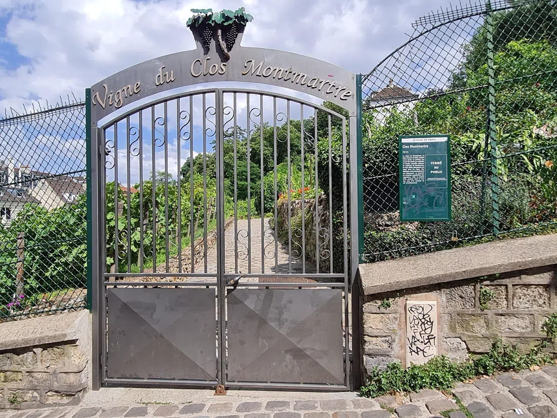 Vigne du Clos Montmartre, Paris