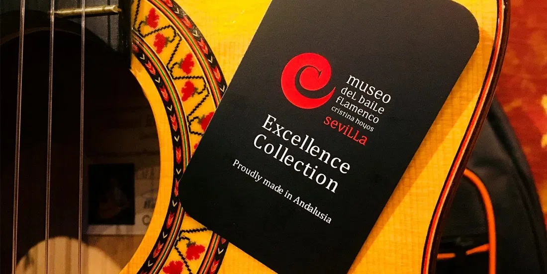 Museo del Baile Flamenco (Cristina Hoyos), Seville