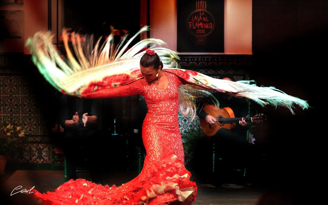 La Casa del Flamenco – Auditorio Alcántara, Seville