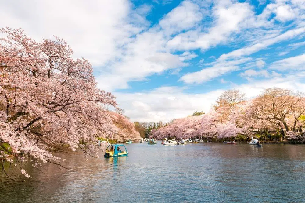 Inokashira Onshi Park (Inokashira Park), Tokyo