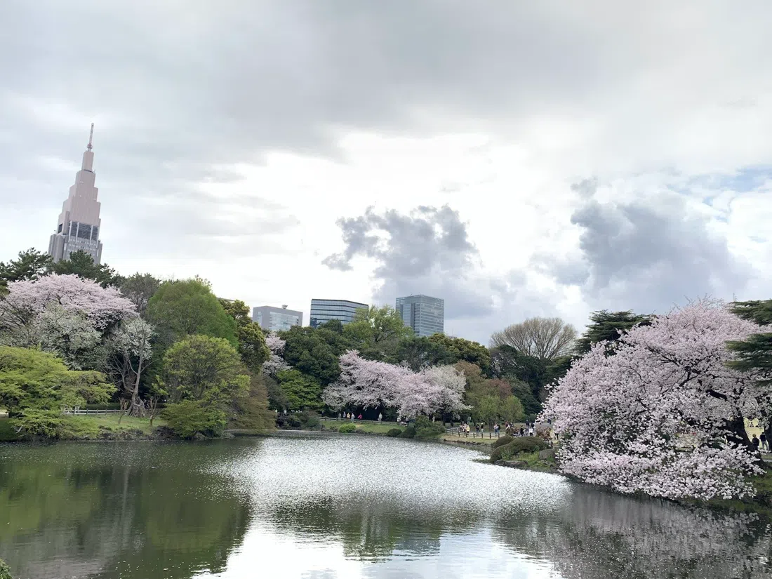 Shinjuku Gyoen National Garden, Tokyo