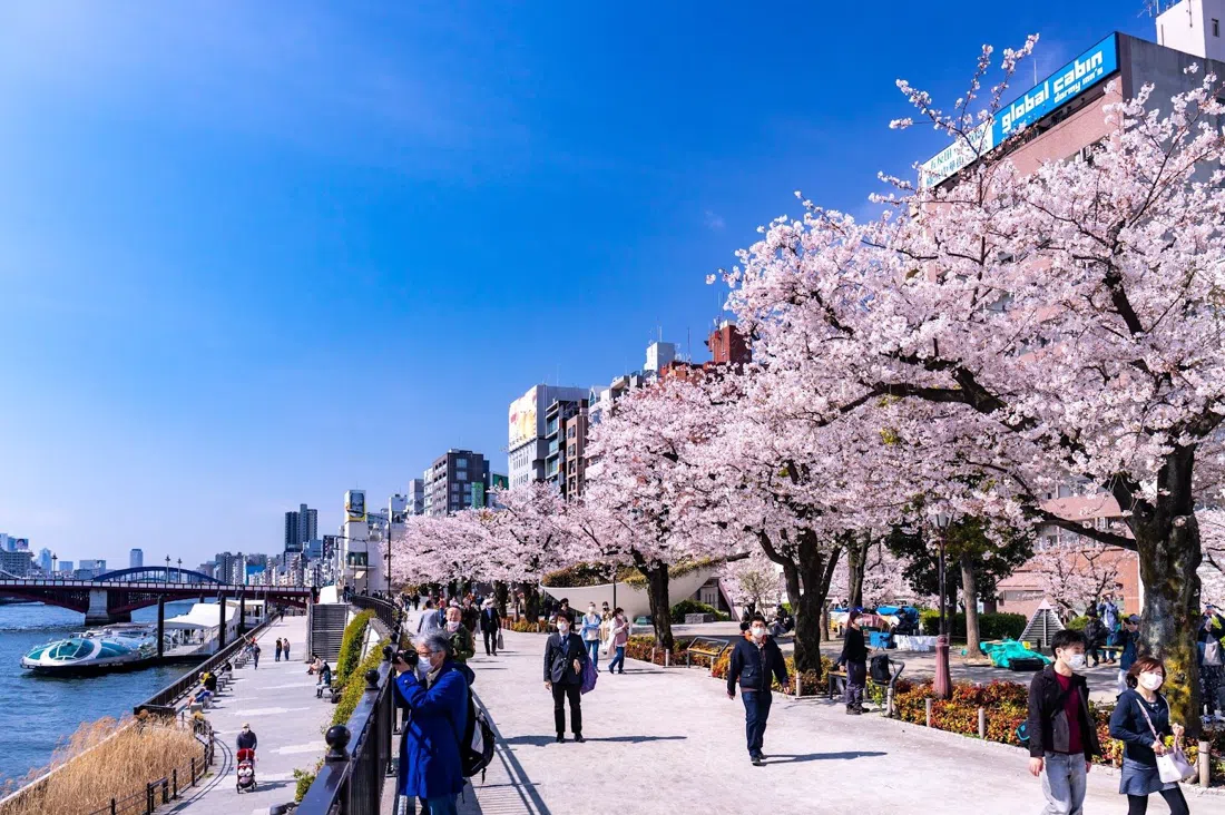 Sumida Park, Tokyo