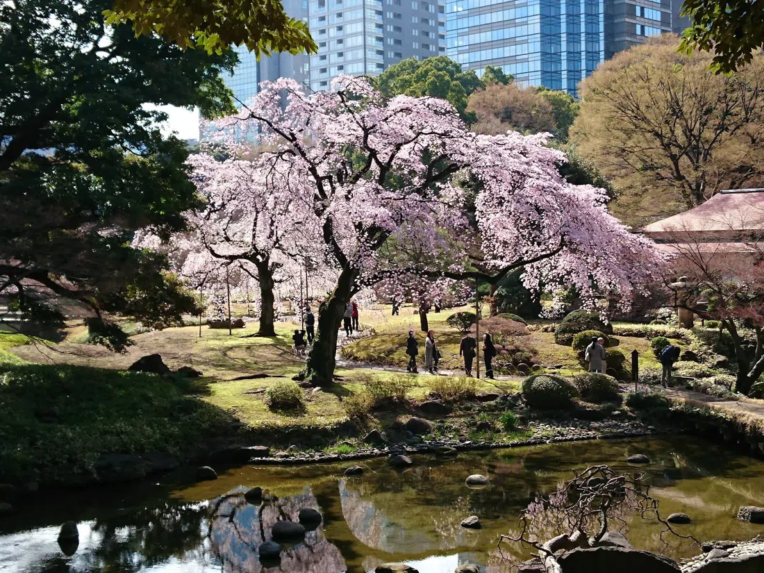 Koishikawa Korakuen, Tokyo