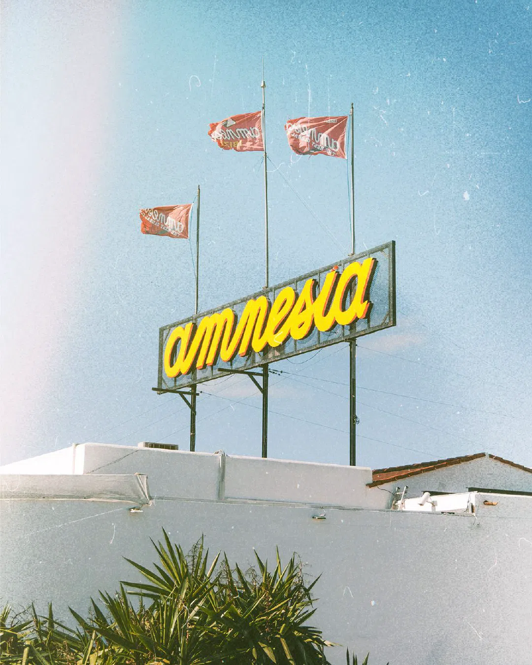 Amnesia Ibiza, Ibiza