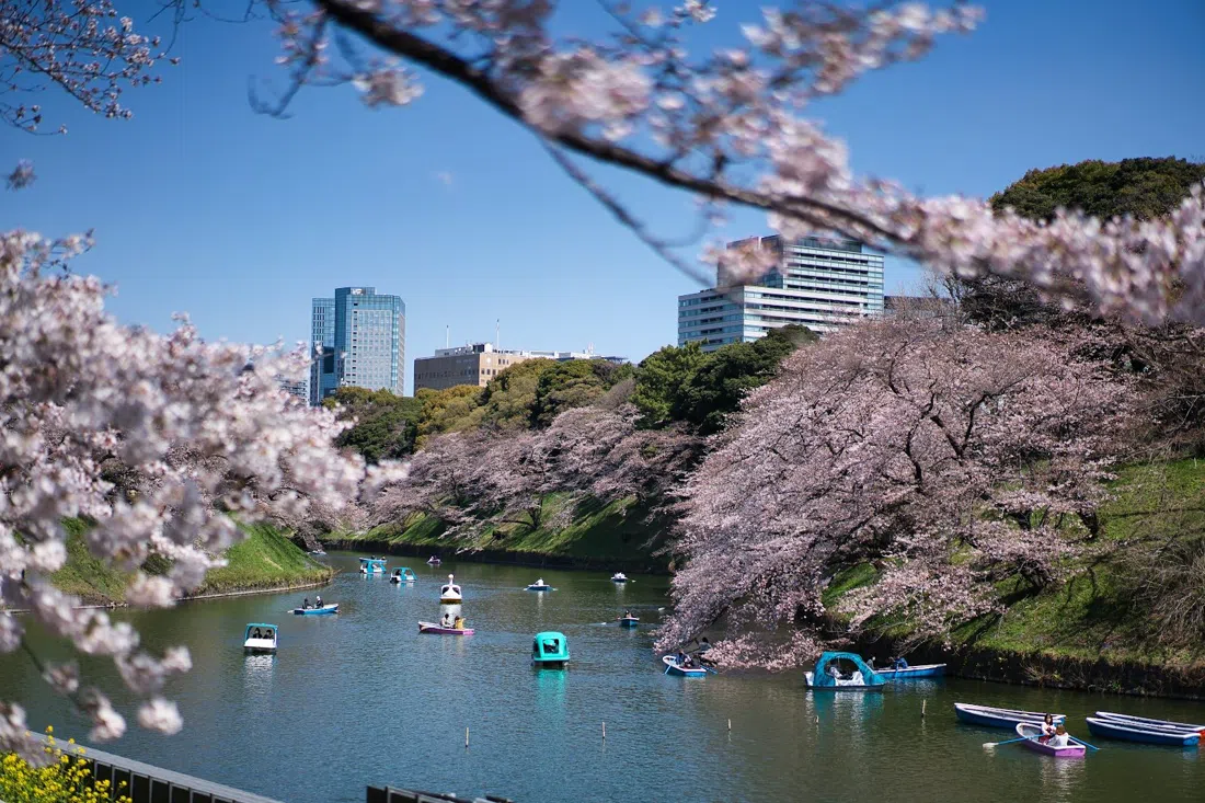 Chidorigafuchi, Tokyo