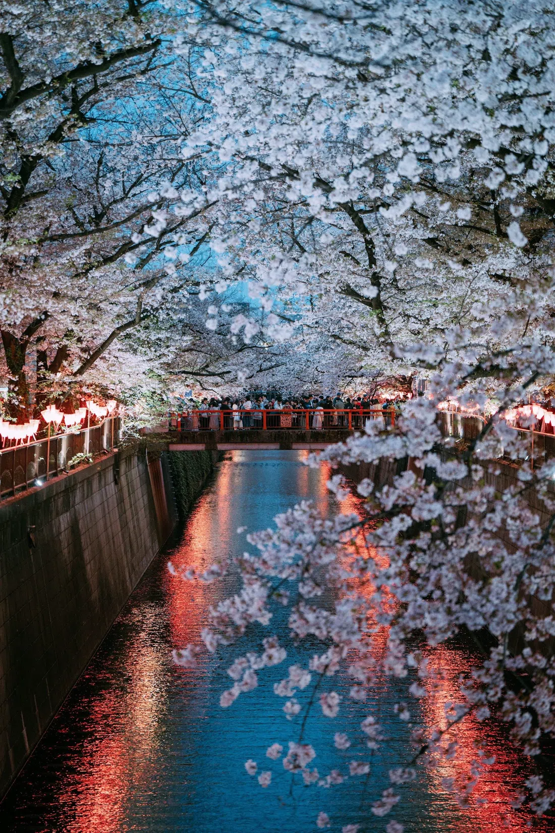 Meguro River (Nakameguro), Tokyo